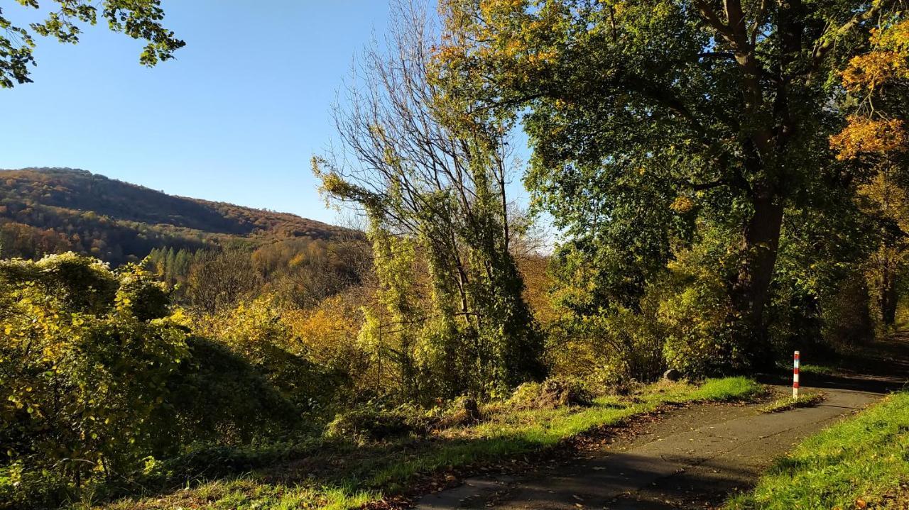 Apartamento Panoramahaus Sauerland Arnsberg Exterior foto